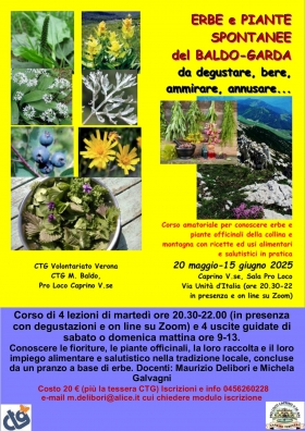 CORSO ERBE E PIANTE OFFICINALI - ctg  m. baldo  e ctg lessinia